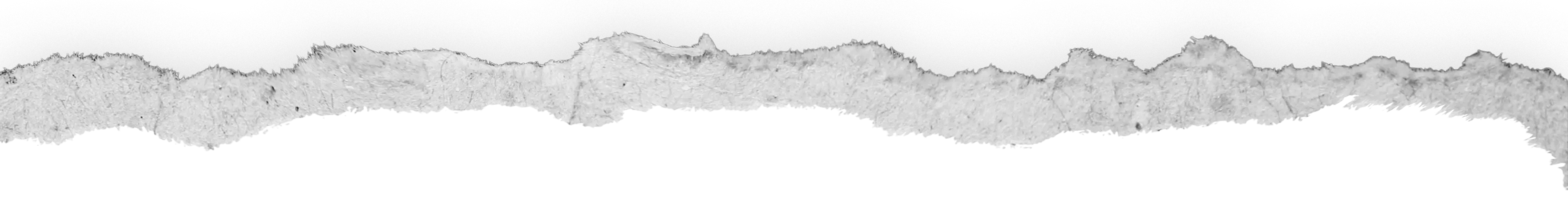 Ripped paper top decor