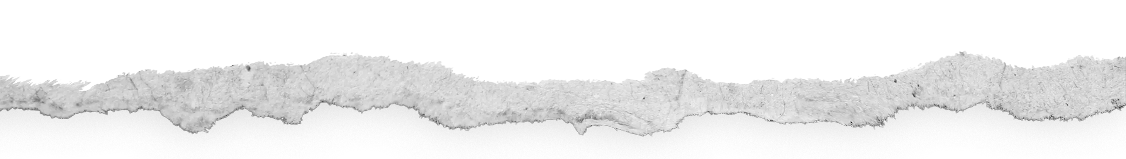 Ripped paper bottom decor