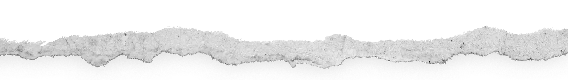Ripped paper bottom decor